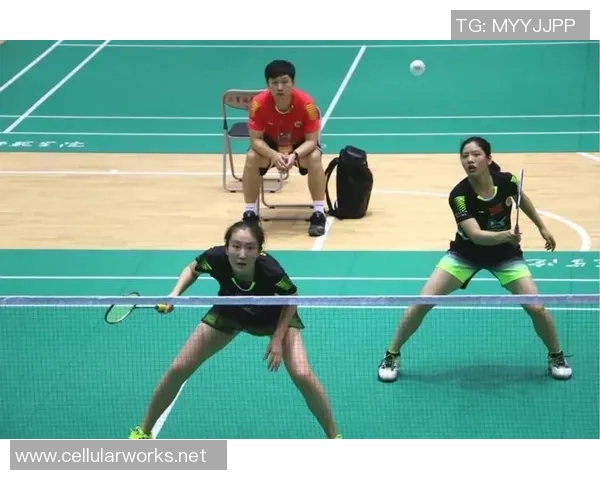 成都与重庆羽毛球队赛后复盘团队协作的精彩瞬间与经验分享