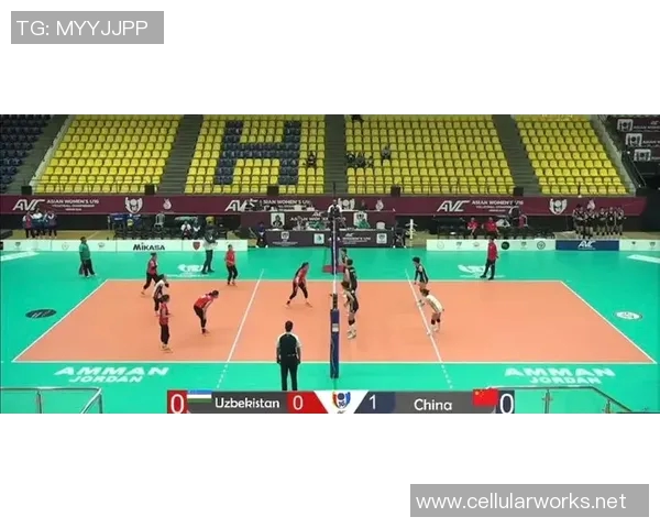 成都排球队在全国排球灵活性排行榜中荣获第五名的佳绩分析