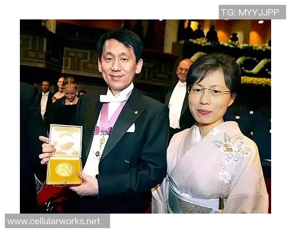 成都网球队逆袭之路揭秘:从默默无闻到城市联赛冠军的奋斗历程