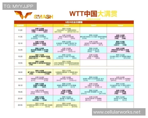 成都羽毛球队战术解析与表现评估大满贯赛事回顾
