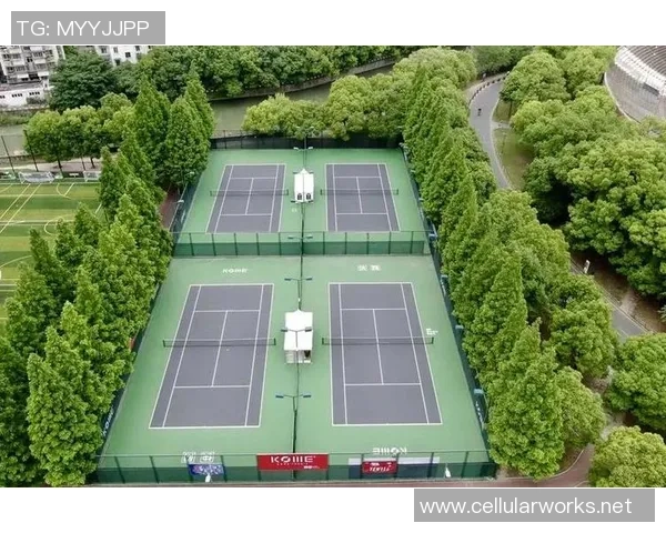 重庆网球队的实力与发展潜力深度分析与探讨