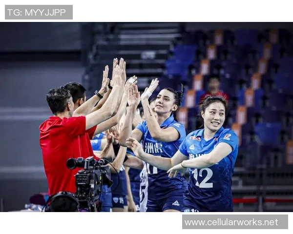 排球战术：深圳排球队的控制体系