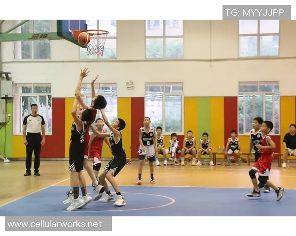 篮球心理素质排行榜：重庆篮球队位居第5名