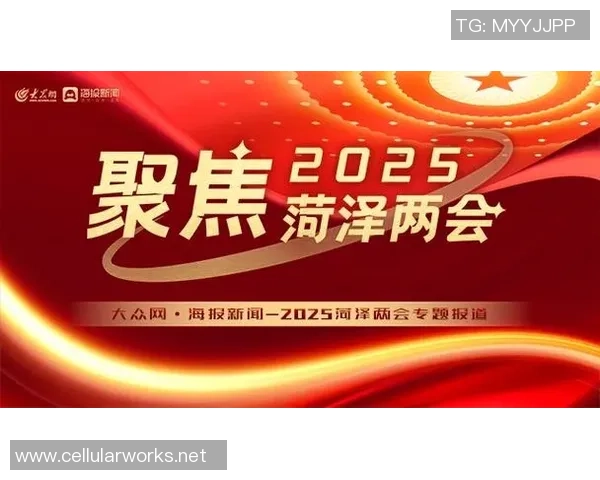 重磅专题：深圳排球队的节奏革新