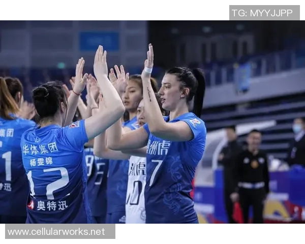 最新排球配合TOP10:深圳排球队领跑